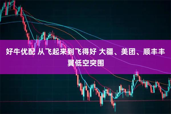 好牛优配 从飞起来到飞得好 大疆、美团、顺丰丰翼低空突围